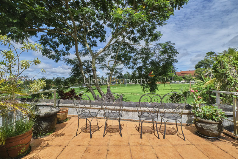 Ubud Property Villa For Sale in Ubud Bali