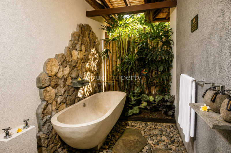 Ubud Property Villa For Sale in Ubud Bali