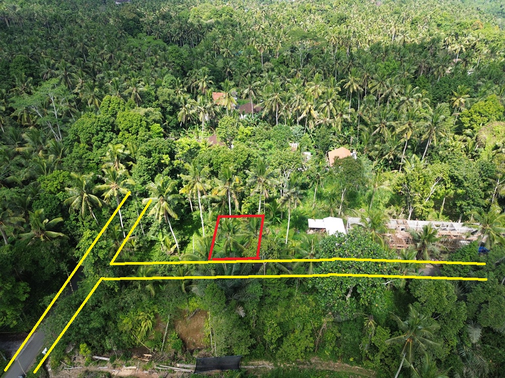 Ubud Property Land For Sale in Ubud Bali