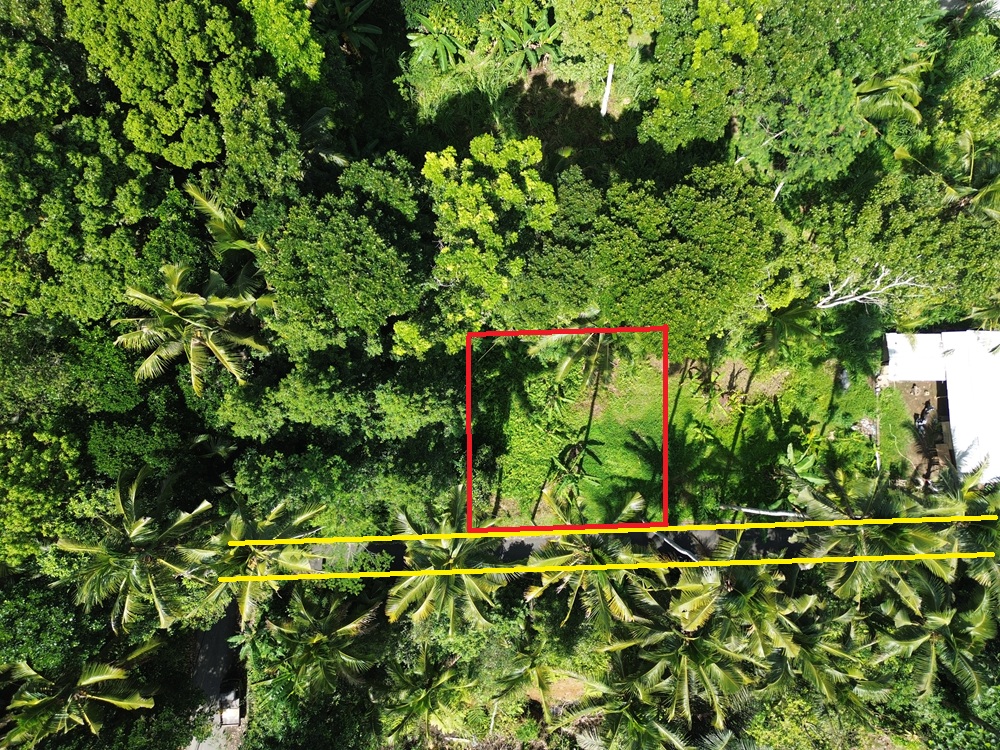 Ubud Property Land For Sale in Ubud Bali