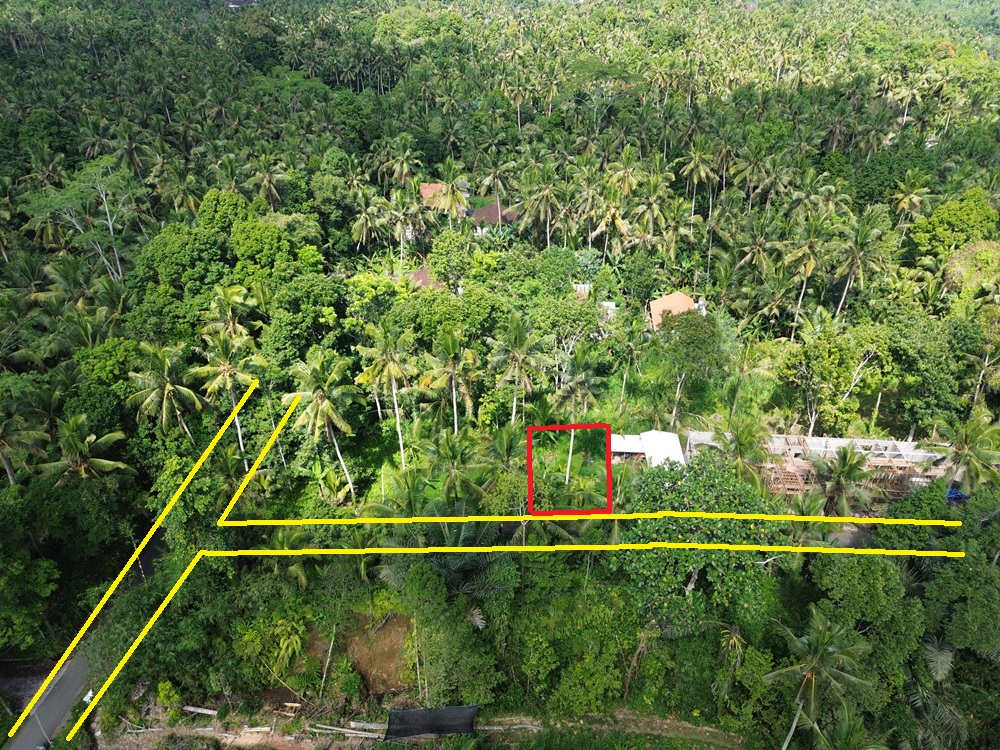 Ubud Property Land For Sale in Ubud Bali