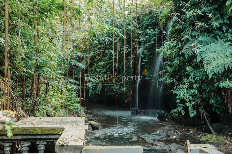 Ubud Property Villa For Sale in Ubud Bali