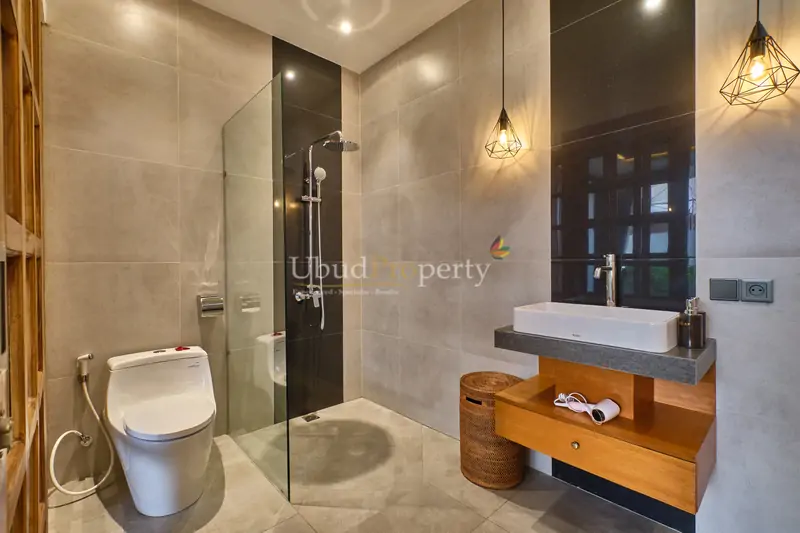 Ubud Property Villa For Sale in Ubud Bali
