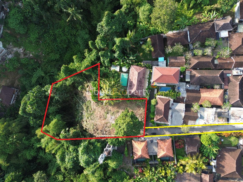 Land For Sale Freehold in Ubud Bali