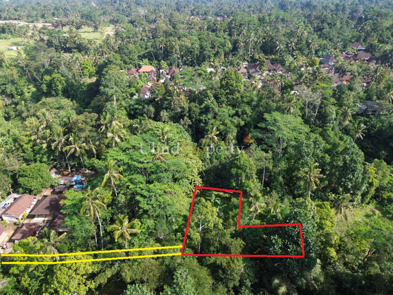 Ubud Property Land For Sale in Ubud Bali