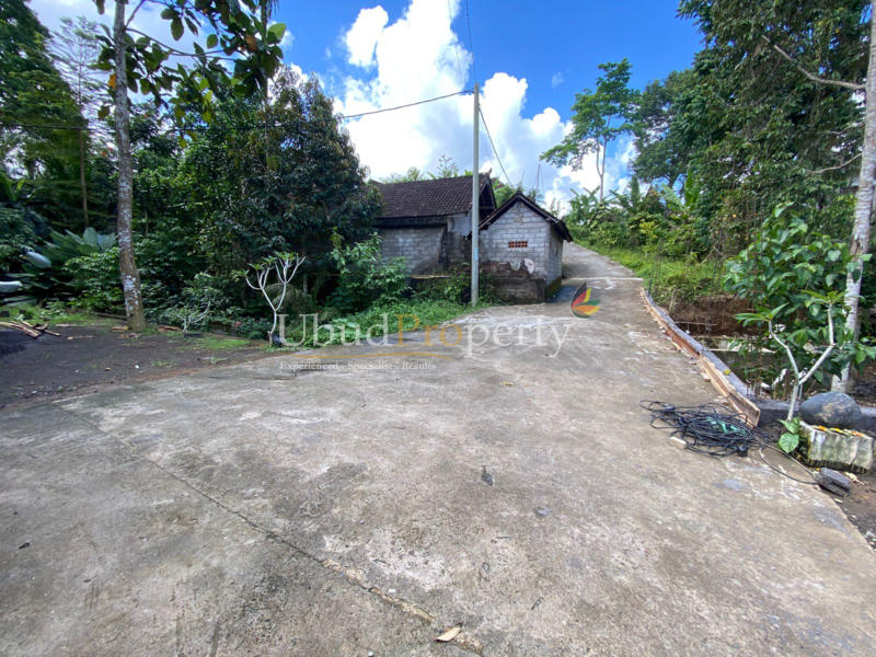 Ubud Property Land For Sale in Ubud Bali