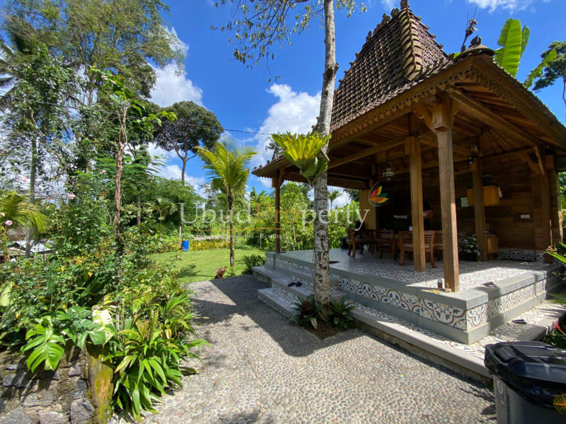 Ubud Property Land For Sale in Ubud Bali