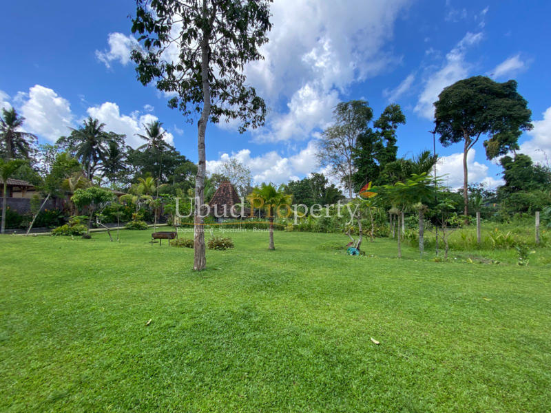 Ubud Property Land For Sale in Ubud Bali