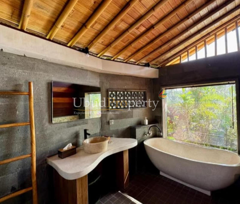 Ubud Property Villa For Sale in Ubud Bali