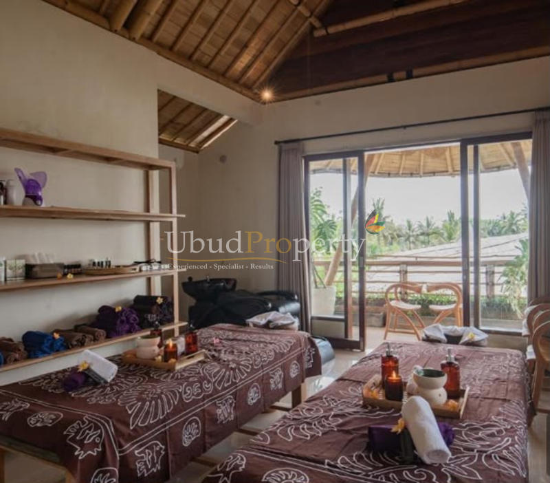 Ubud Property Villa For Sale in Ubud Bali