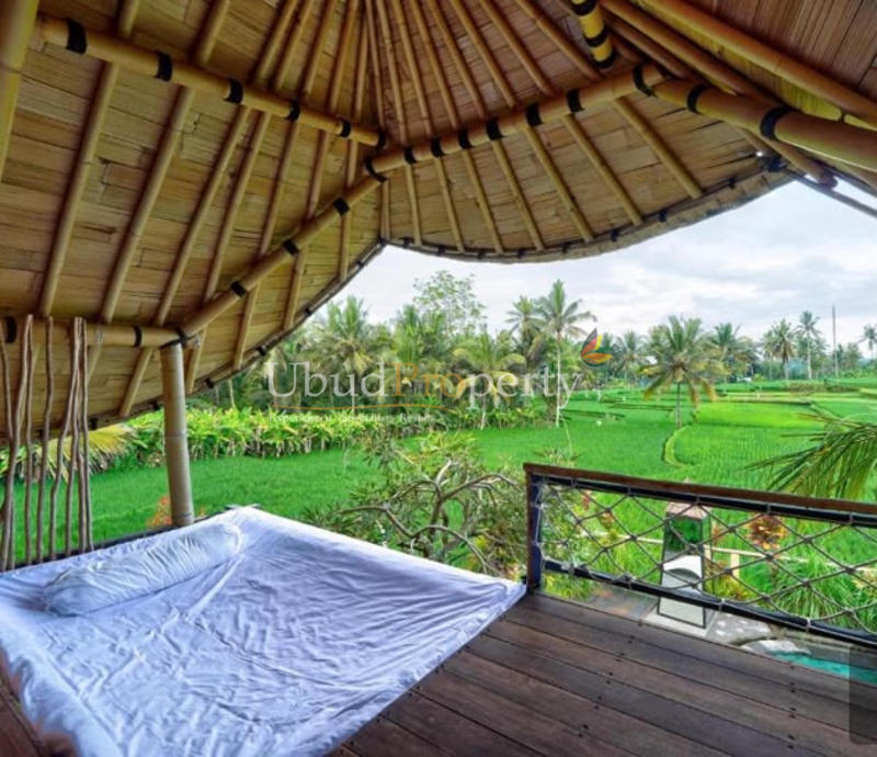 Ubud Property Villa For Sale in Ubud Bali