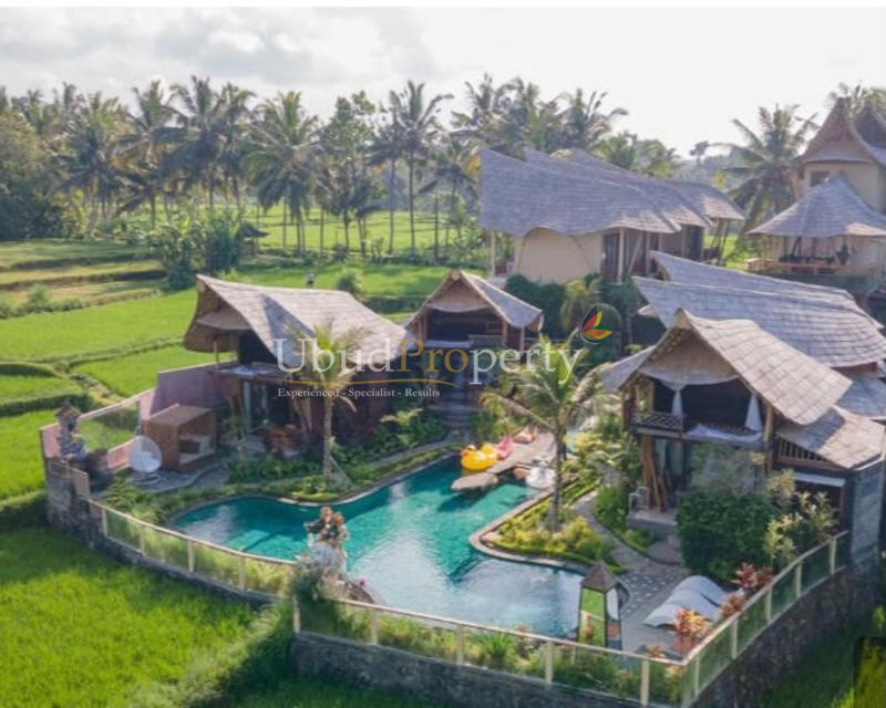 Villa For Sale Freehold in Ubud Bali