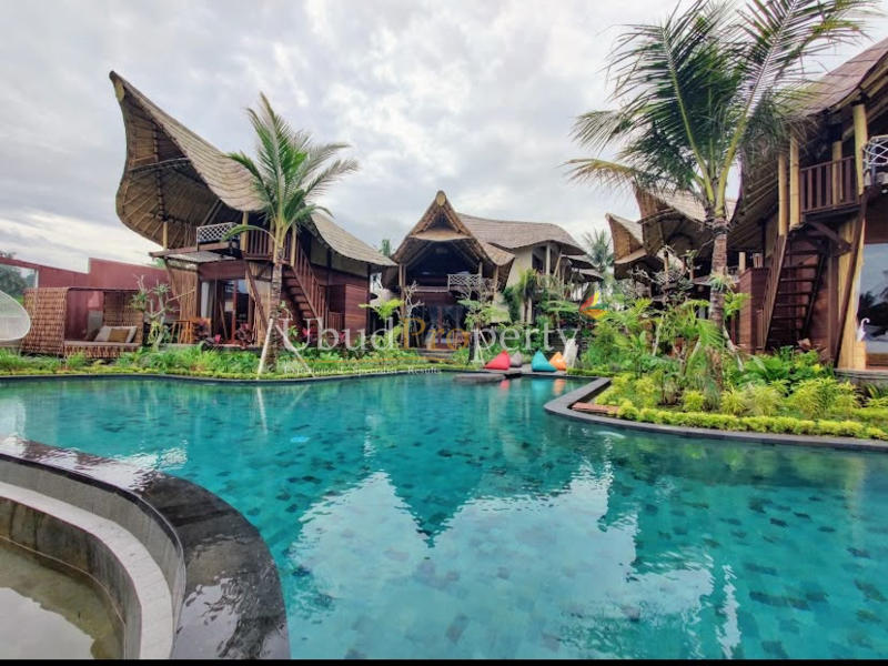 Ubud Property Villa For Sale in Ubud Bali