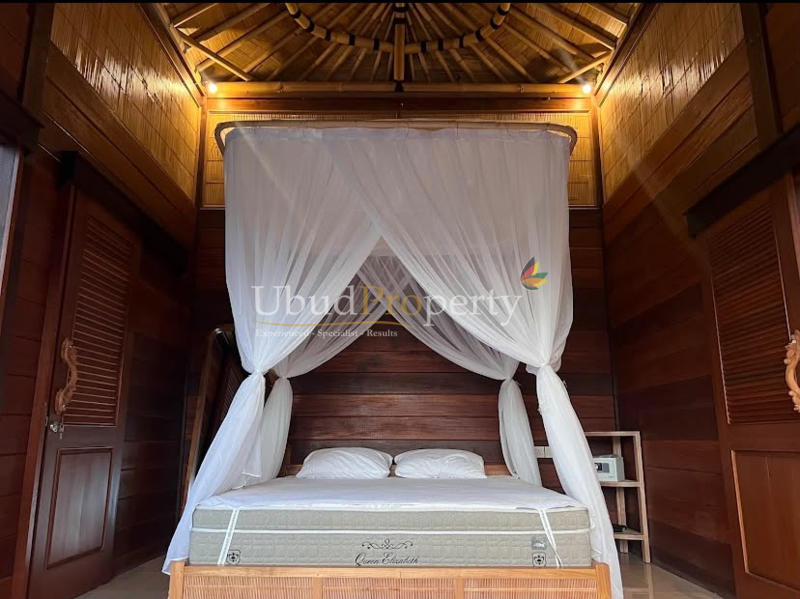 Ubud Property Villa For Sale in Ubud Bali