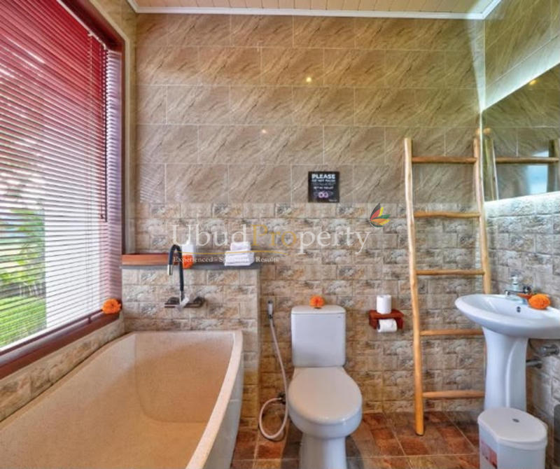 Ubud Property Villa For Sale in Ubud Bali