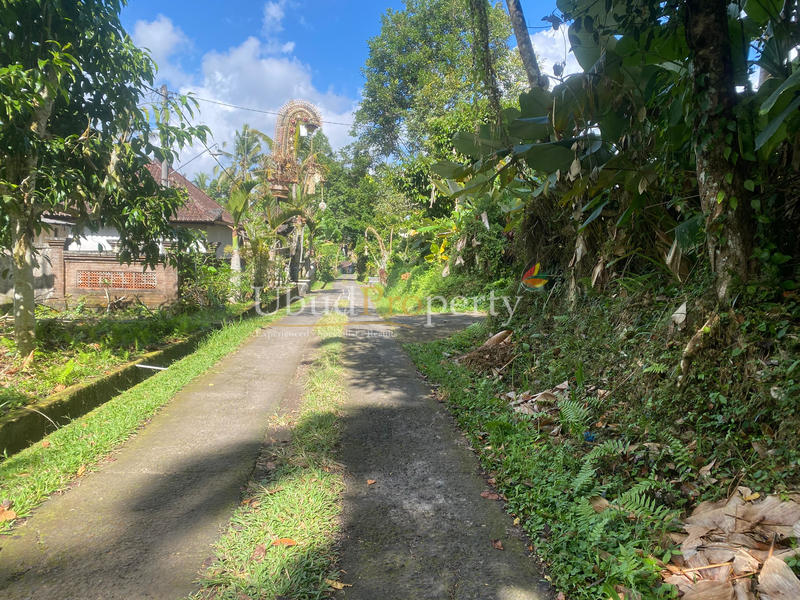 Ubud Property Land For Sale in Ubud Bali