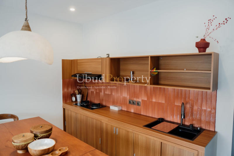 Ubud Property Villa For Sale in Ubud Bali
