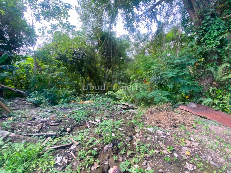 Ubud Property Land For Sale in Ubud Bali
