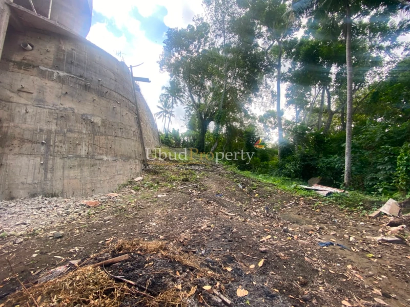 Ubud Property Land For Sale in Ubud Bali