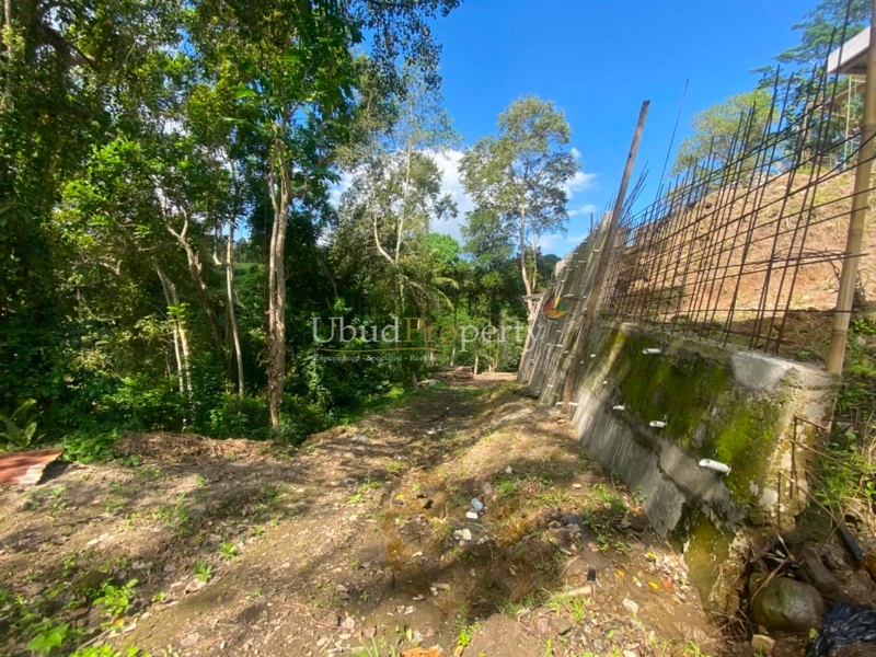Ubud Property Land For Sale in Ubud Bali