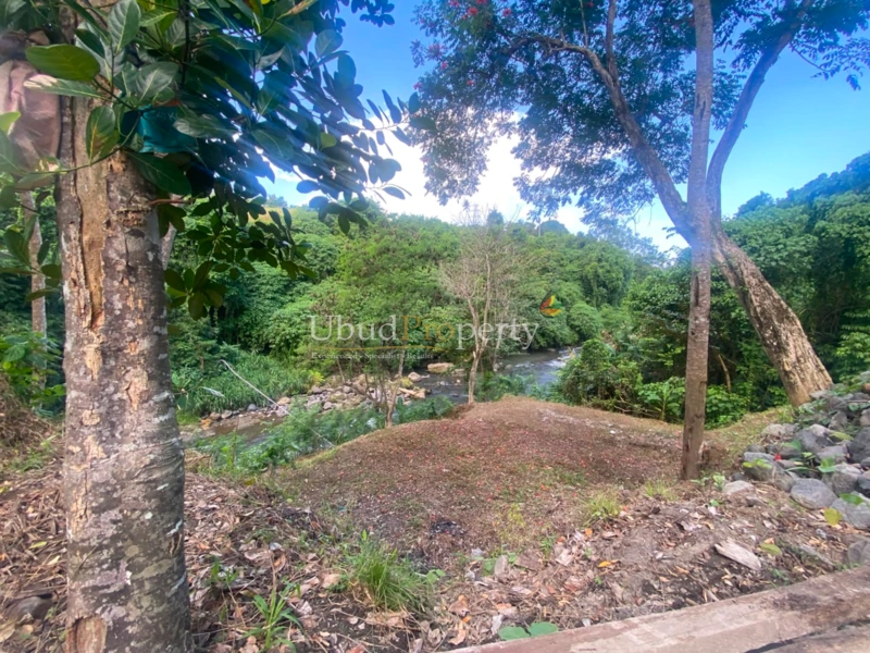 Ubud Property Land For Sale in Ubud Bali
