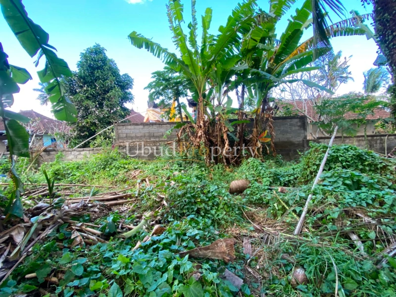 Ubud Property Land For Sale in Ubud Bali - LAND