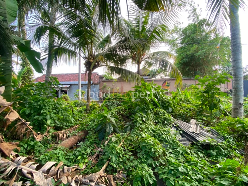 Ubud Property Land For Sale in Ubud Bali - LAND