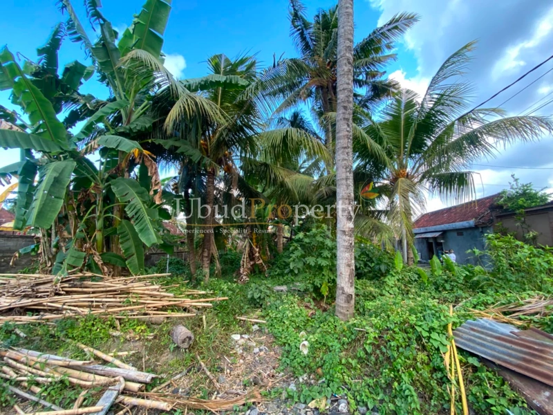 Ubud Property Land For Sale in Ubud Bali - ROAD
