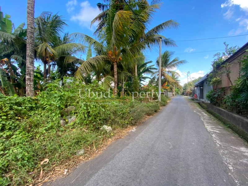 Ubud Property Land For Sale in Ubud Bali - LAND