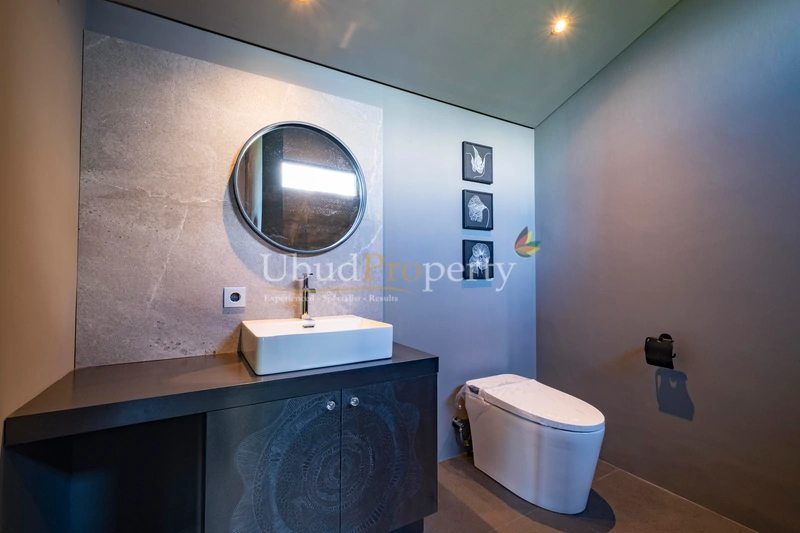 Ubud Property Villa For Sale in Ubud Bali