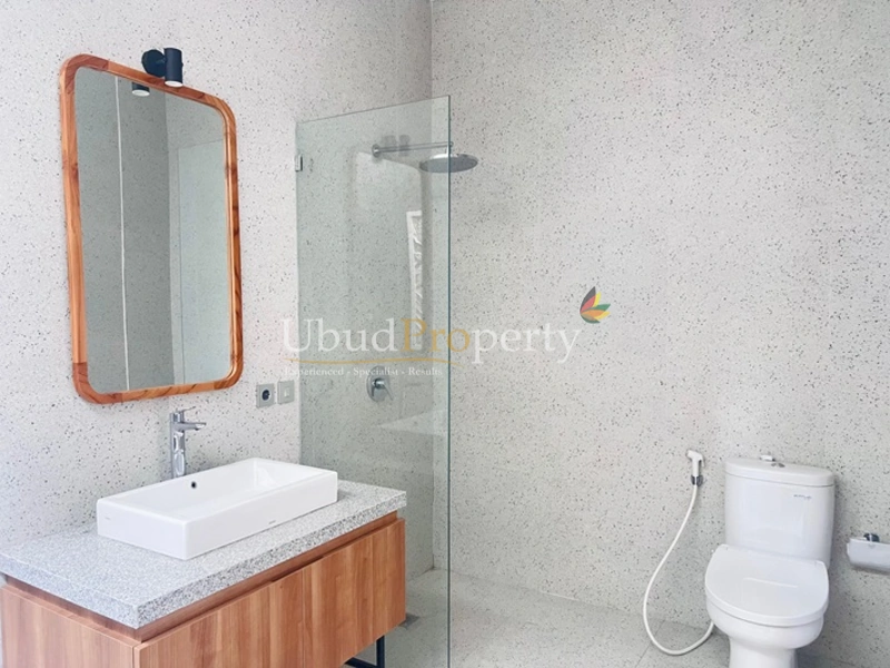 Ubud Property Villa For Sale in Ubud Bali