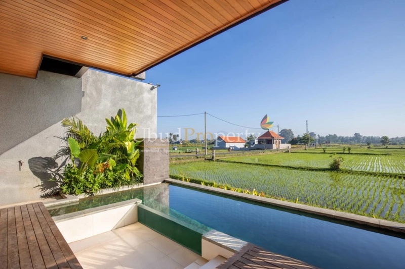 Ubud Property Villa For Sale in Ubud Bali