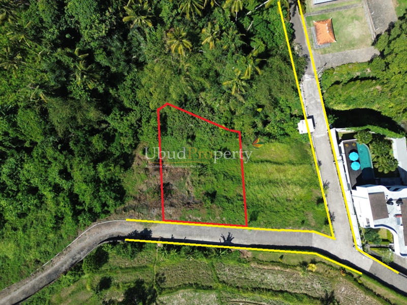 Land For Sale Leasehold in Ubud Bali