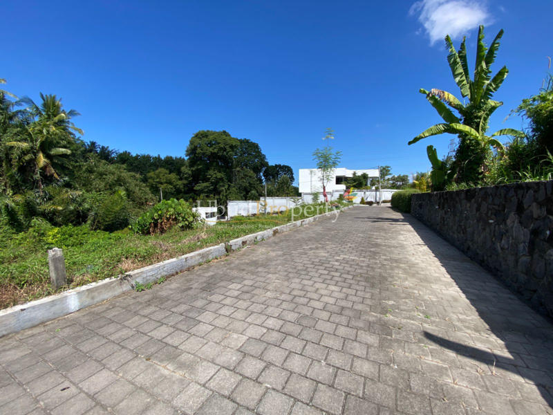 Ubud Property Land For Sale in Ubud Bali