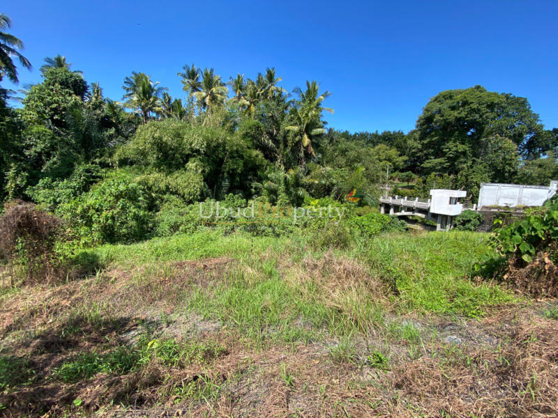 Ubud Property Land For Sale in Ubud Bali