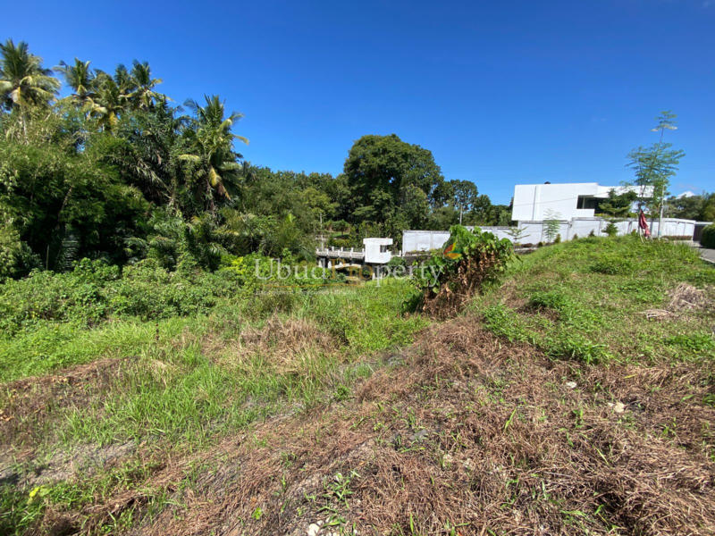 Ubud Property Land For Sale in Ubud Bali