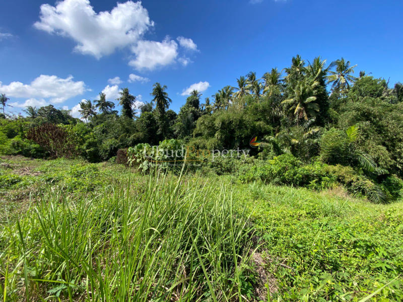 Ubud Property Land For Sale in Ubud Bali