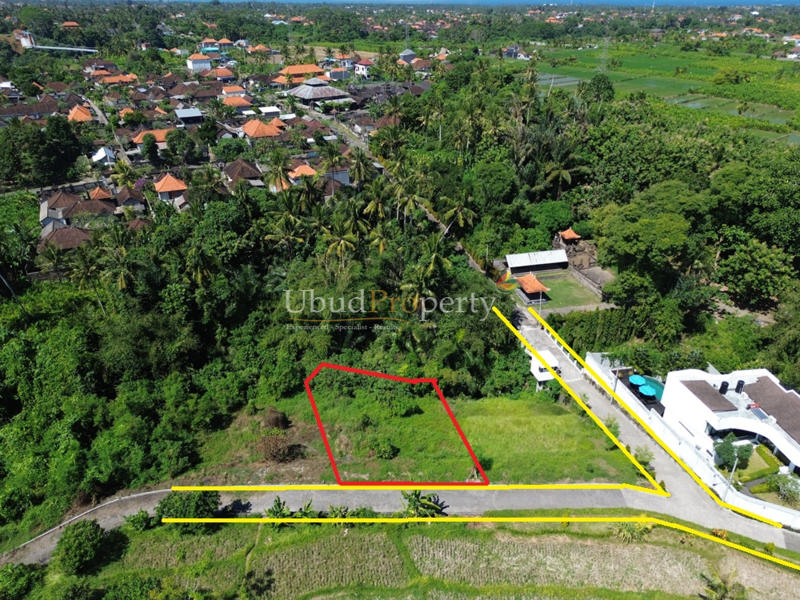 Ubud Property Land For Sale in Ubud Bali