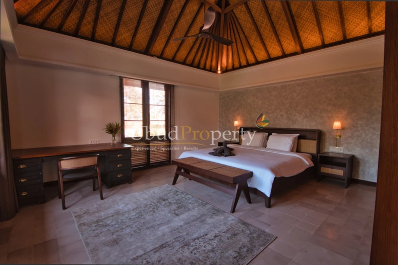 Ubud Property Villa For Sale in Ubud Bali