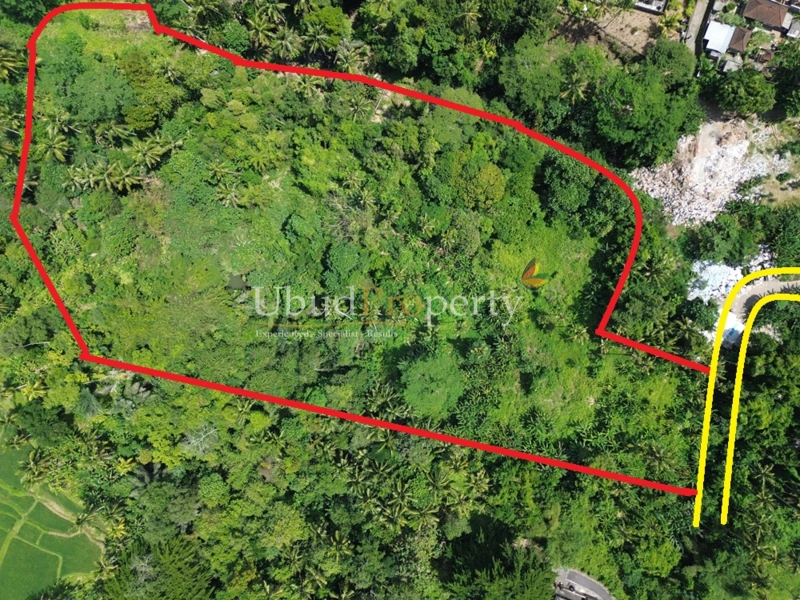 Land For Sale Leasehold in Ubud Bali