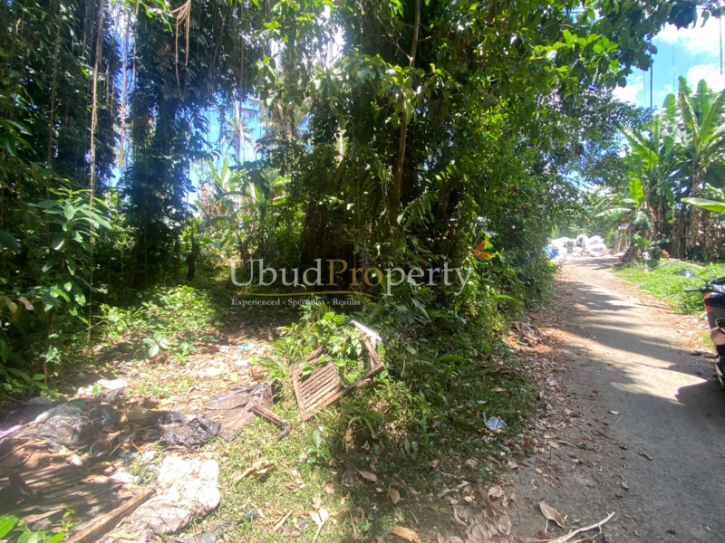 Ubud Property Land For Sale in Ubud Bali