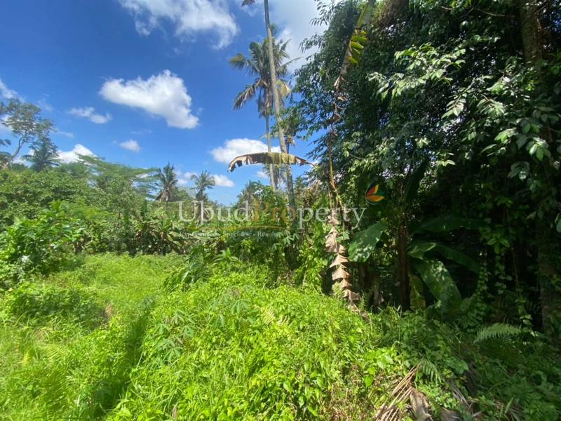 Ubud Property Land For Sale in Ubud Bali