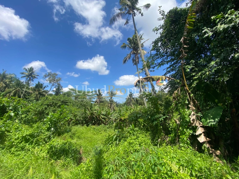 Ubud Property Land For Sale in Ubud Bali