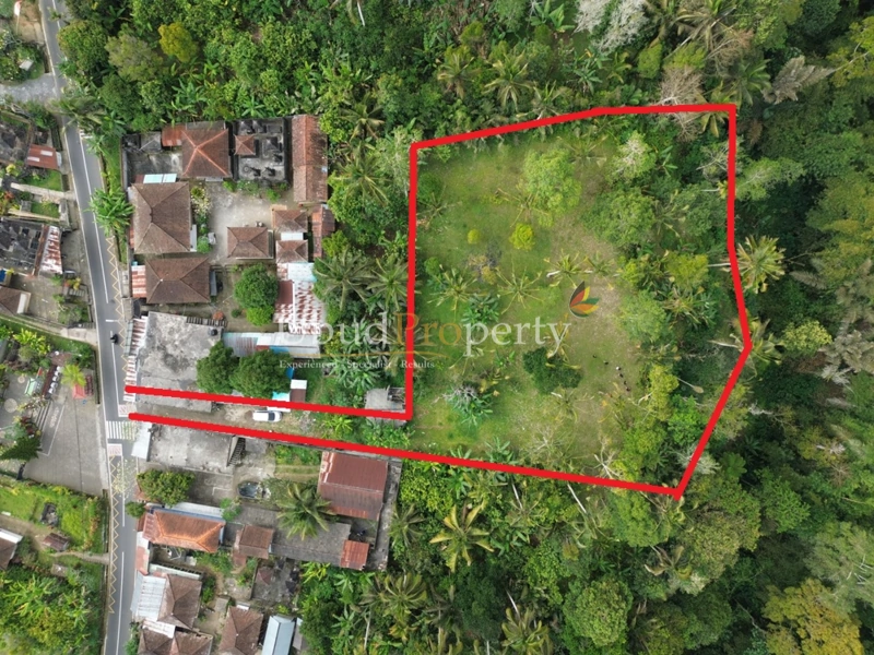 Land For Sale Freehold in Ubud Bali