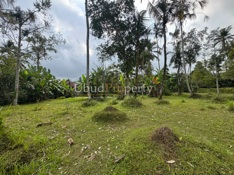 Ubud Property Land For Sale in Ubud Bali