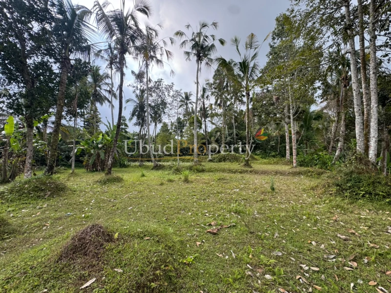 Ubud Property Land For Sale in Ubud Bali