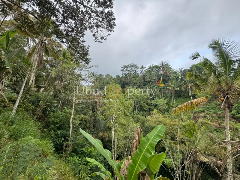 Ubud Property Land For Sale in Ubud Bali