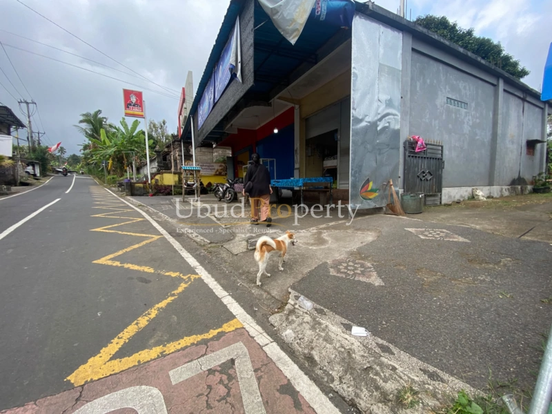 Ubud Property Land For Sale in Ubud Bali
