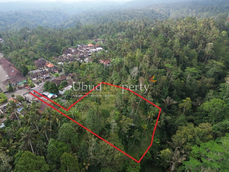Ubud Property Land For Sale in Ubud Bali
