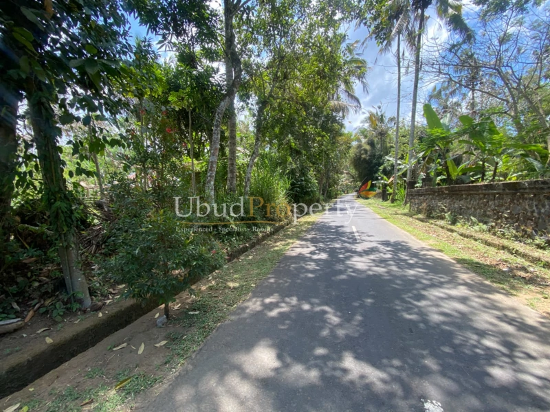 Ubud Property Land For Sale in Ubud Bali